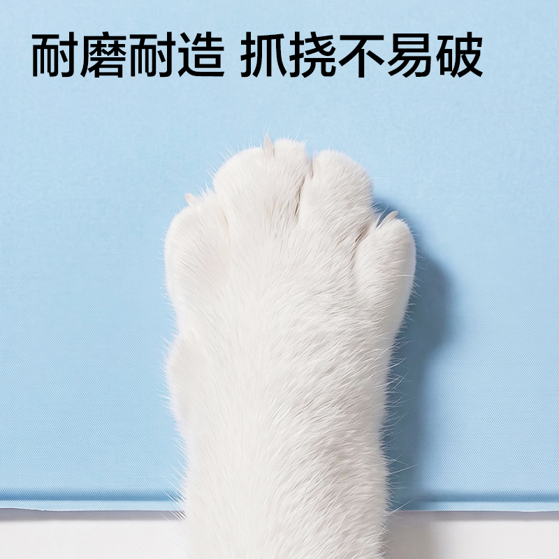 得力Bembam_BM606_30x40cm固體凝膠冰墊(藍)(包)
