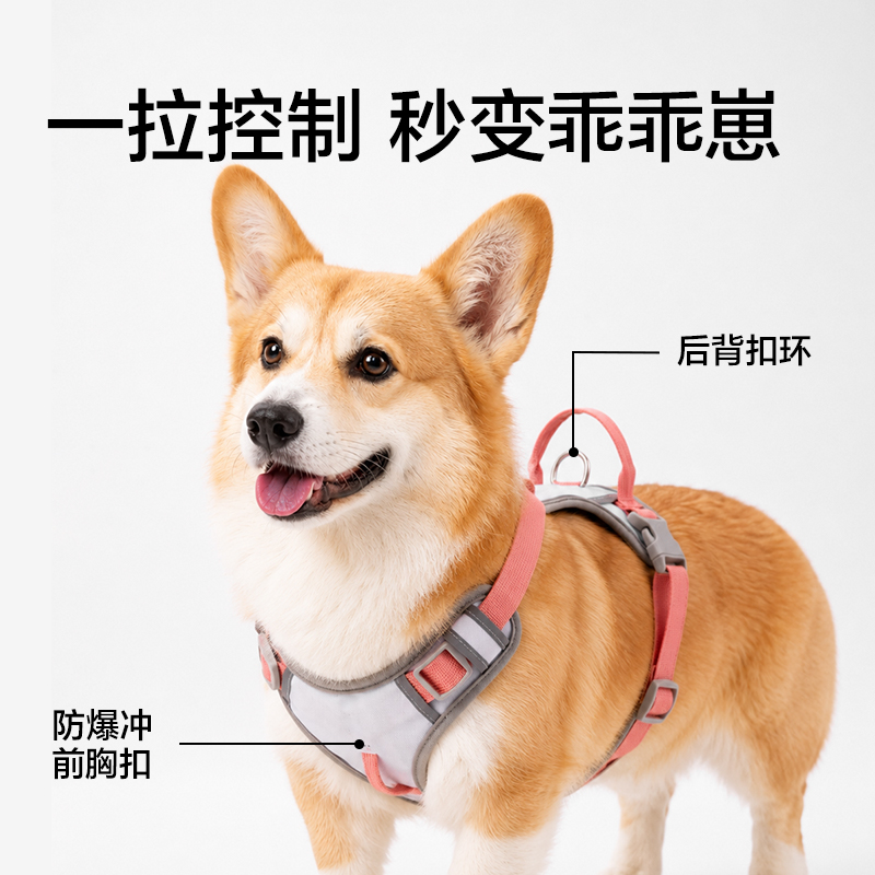 得力Bembam_BM508_M碼H型胸背牽引繩(棕)(個)
