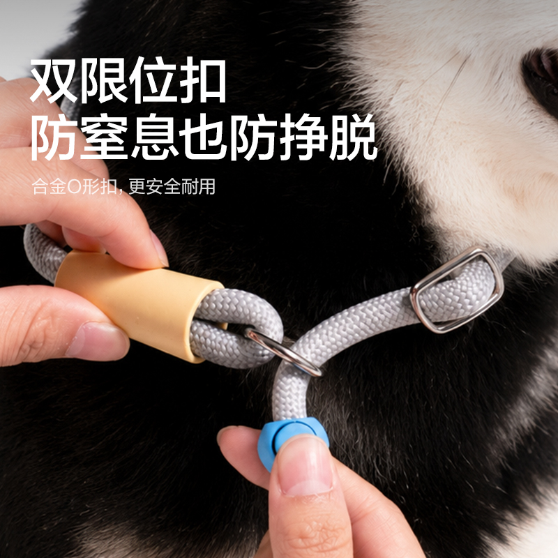 得力Bembam_BM503_1.5m基礎款寵物P繩(橙)(個)