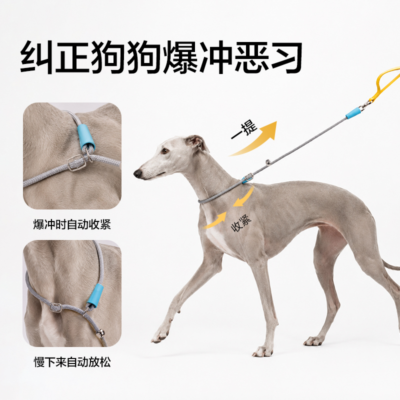 得力Bembam_BM504_1.5m標準款寵物P繩(綠)(個)