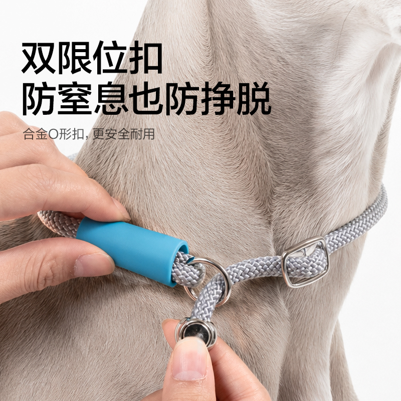 得力Bembam_BM504_1.5m標準款寵物P繩(綠)(個)