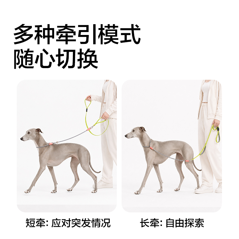得力Bembam_BM504_1.5m標準款寵物P繩(綠)(個)