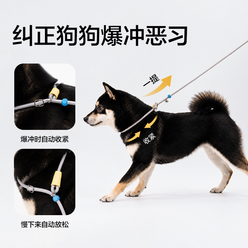得力Bembam_BM503_1.5m基礎(chǔ)款寵物P繩(藍(lán))(個(gè))